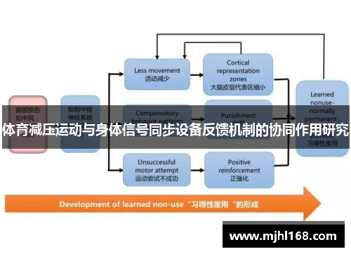 体育减压运动与身体信号同步设备反馈机制的协同作用研究 体育减压运动与身体信号同步设备反馈机制的协同作用研究